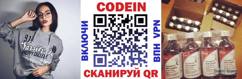 купить наркотики цена  Пудож  Кодеиновый сироп Lean Purple Drank 