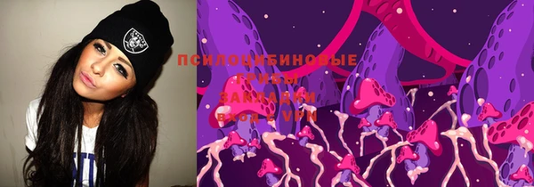 стафф Абаза
