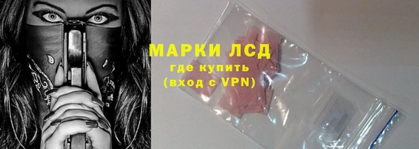 сатива Абинск
