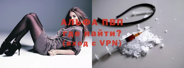 сатива Абинск