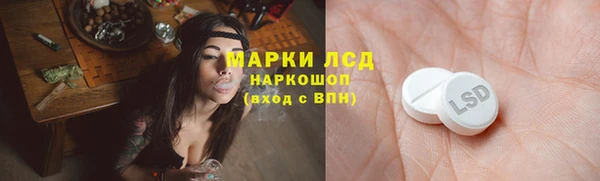 сатива Абинск