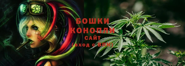 стафф Абаза
