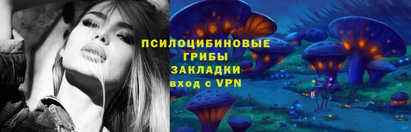 сатива Абинск