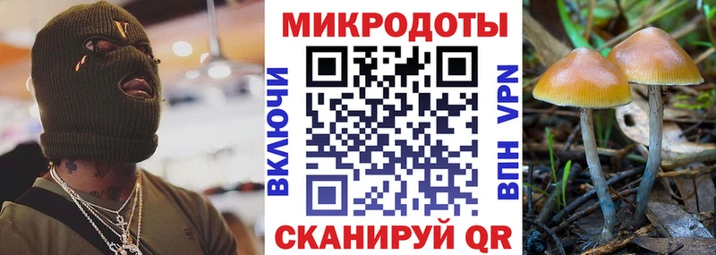 Галлюциногенные грибы Psilocybine cubensis  купить наркоту  Пудож 